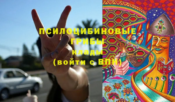 марки nbome Богданович