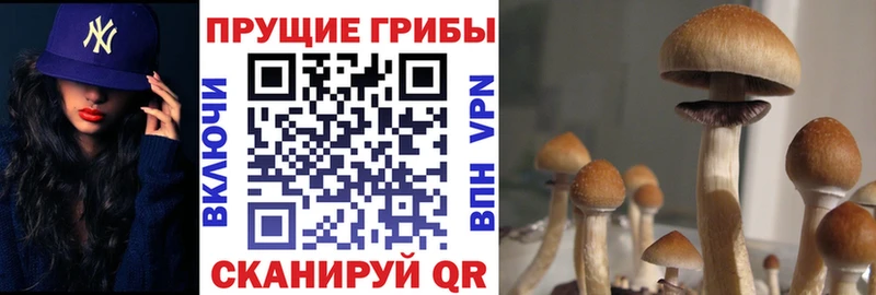 Псилоцибиновые грибы мухоморы  маркетплейс официальный сайт  Ярцево 